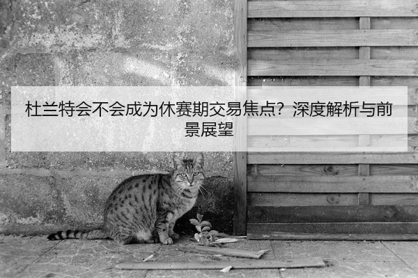 杜兰特会不会成为休赛期交易焦点？深度解析与前景展望