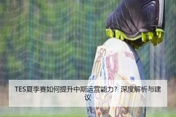 TES夏季赛如何提升中期运营能力？深度解析与建议